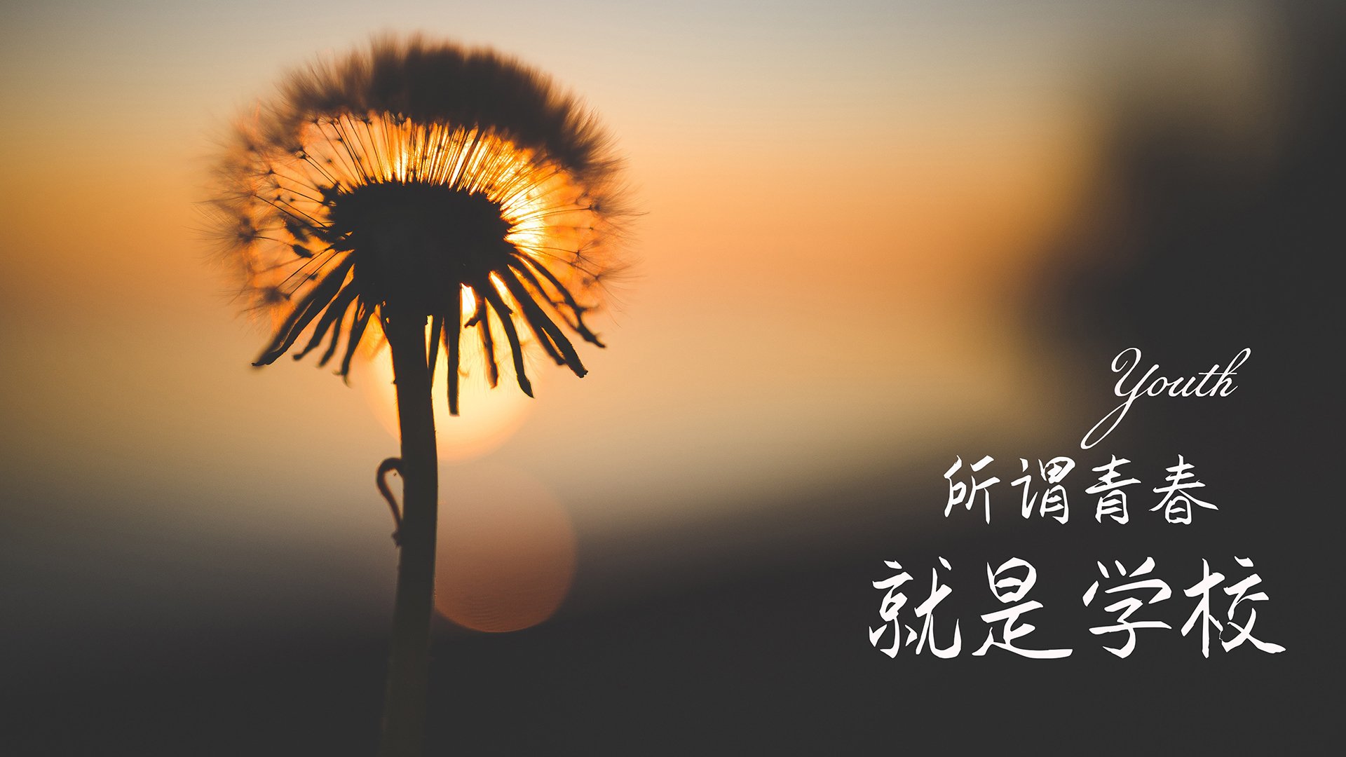 全国青少年乒乓球少年冠军赛在济南开启佳话，全国青少年乒乓球公开赛