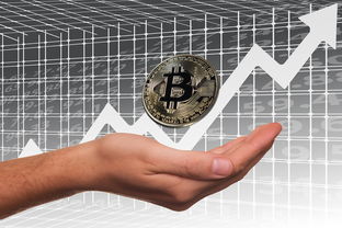 开云体育app下载-英超俱乐部母公司上市路径与股价波动分析，英超俱乐部投入