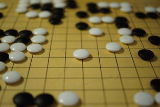 开运体育电脑版-世界围棋赛青年选手战术成熟引热议，2020世界围棋