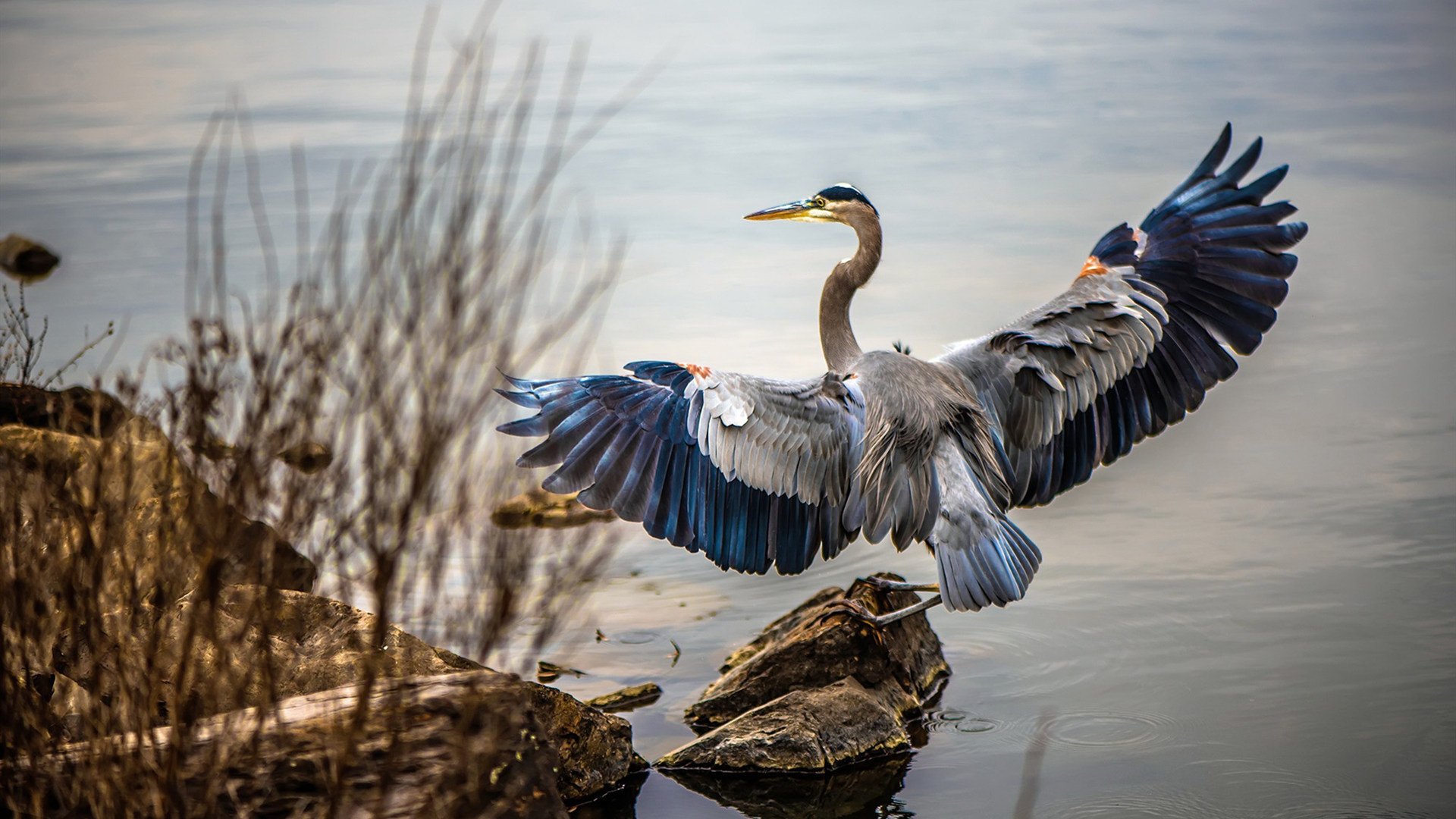 拜仁老将控场全场,经验致胜,拜仁旧将