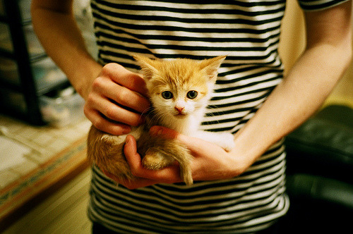 搏击项目发展论坛聚焦市场化与安全性,搏击俱乐部的市场定位