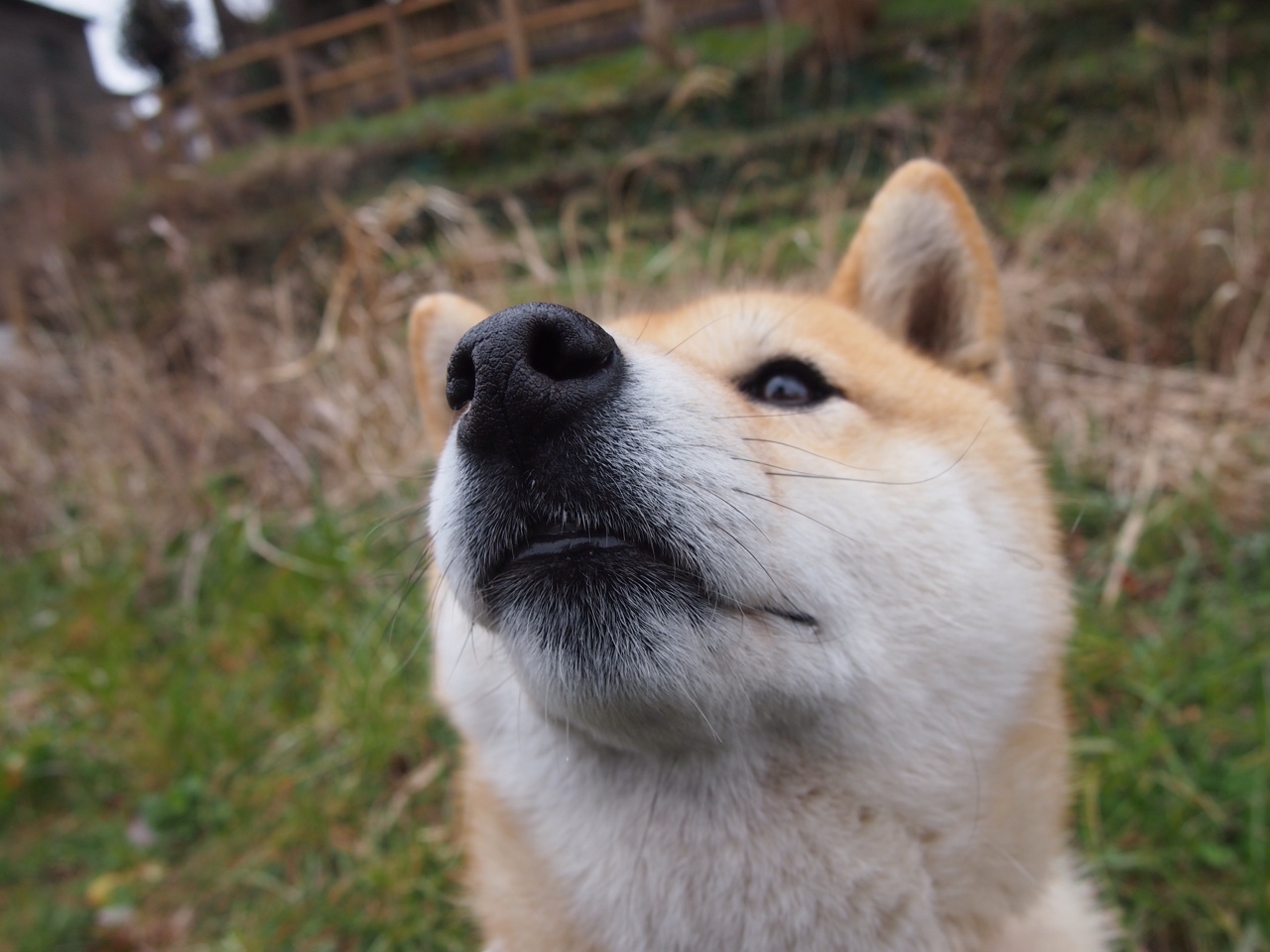 搏击项目发展论坛聚焦市场化与安全性,搏击俱乐部的市场定位