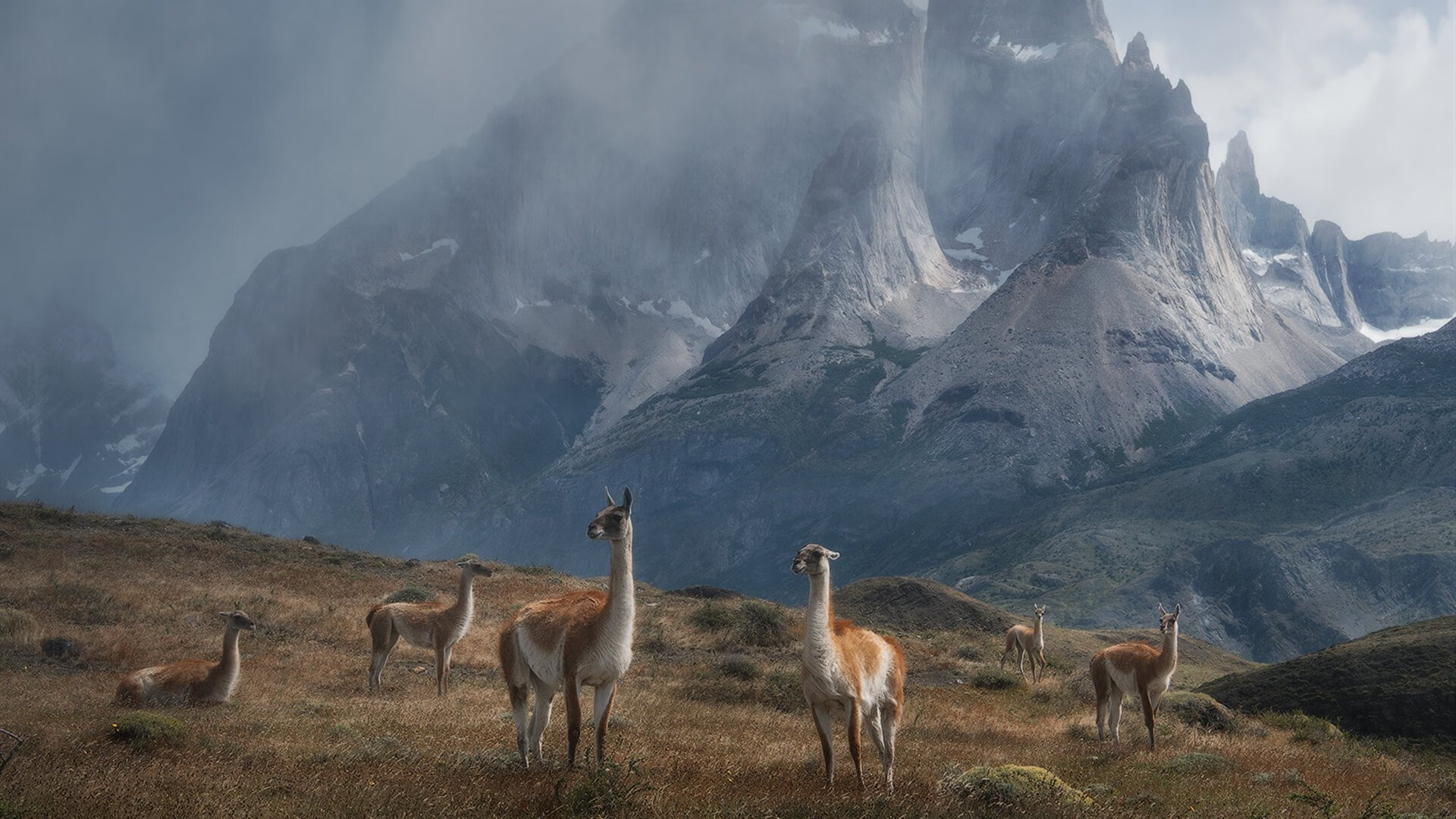 伊朗男篮在亚洲预赛中奋勇争先,迈向奥运金牌激动人心,伊朗男篮近期战绩