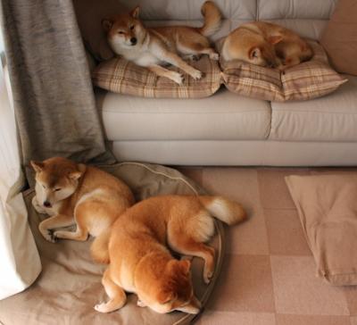 开云体育官网上-哈登助攻突破两不误快船持续高效进攻，哈登打快船数据