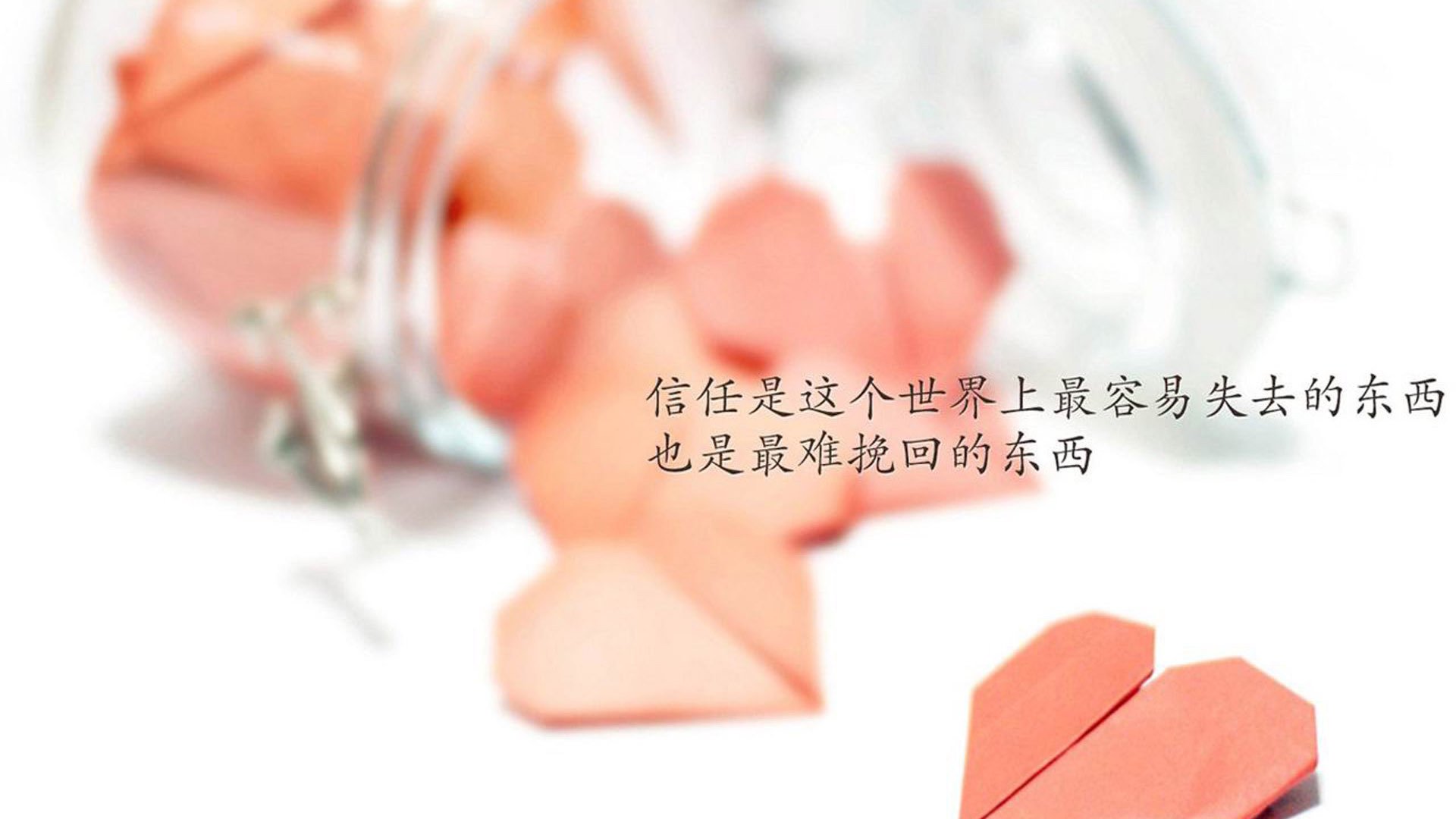 女子排球精英联赛赛程表正式发布,女子排球精英联赛赛程表正式发布了吗