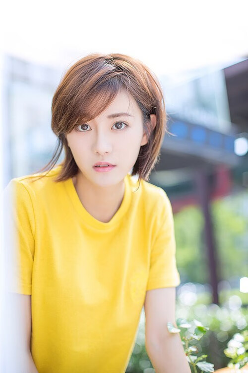 新西兰男子橄榄球队稳定表现,能否迎来新一波巅峰?,新西兰橄榄球世界排名