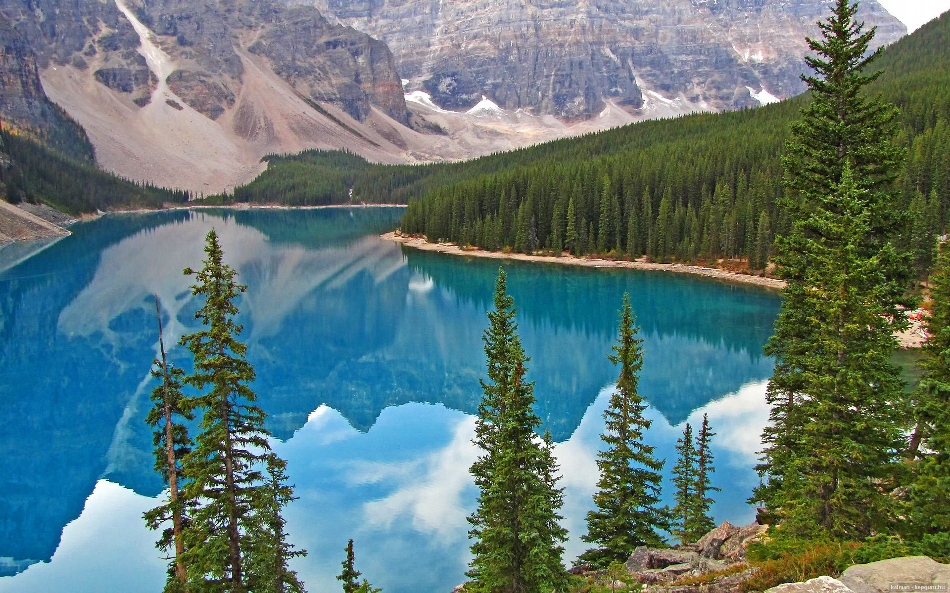 澳洲队用坚韧与协作书写辉煌篇章,澳大利亚队员