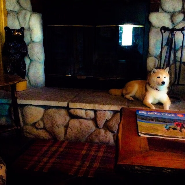 开云体育在线登入-热火老将赛前鼓励全队保持比赛专注度，热火前队长