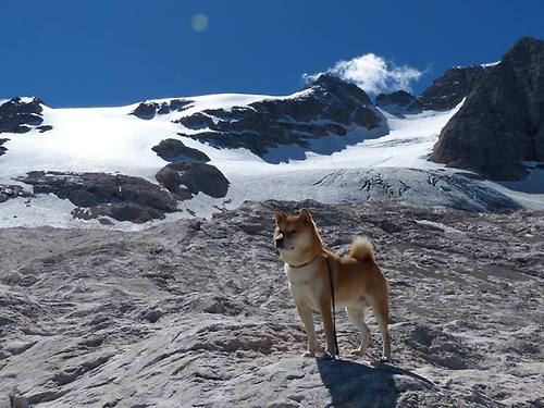 开云ky官网-艾比·德尔福：准确的防守判断让南非队牢牢掌控比赛节奏，比尔和艾德