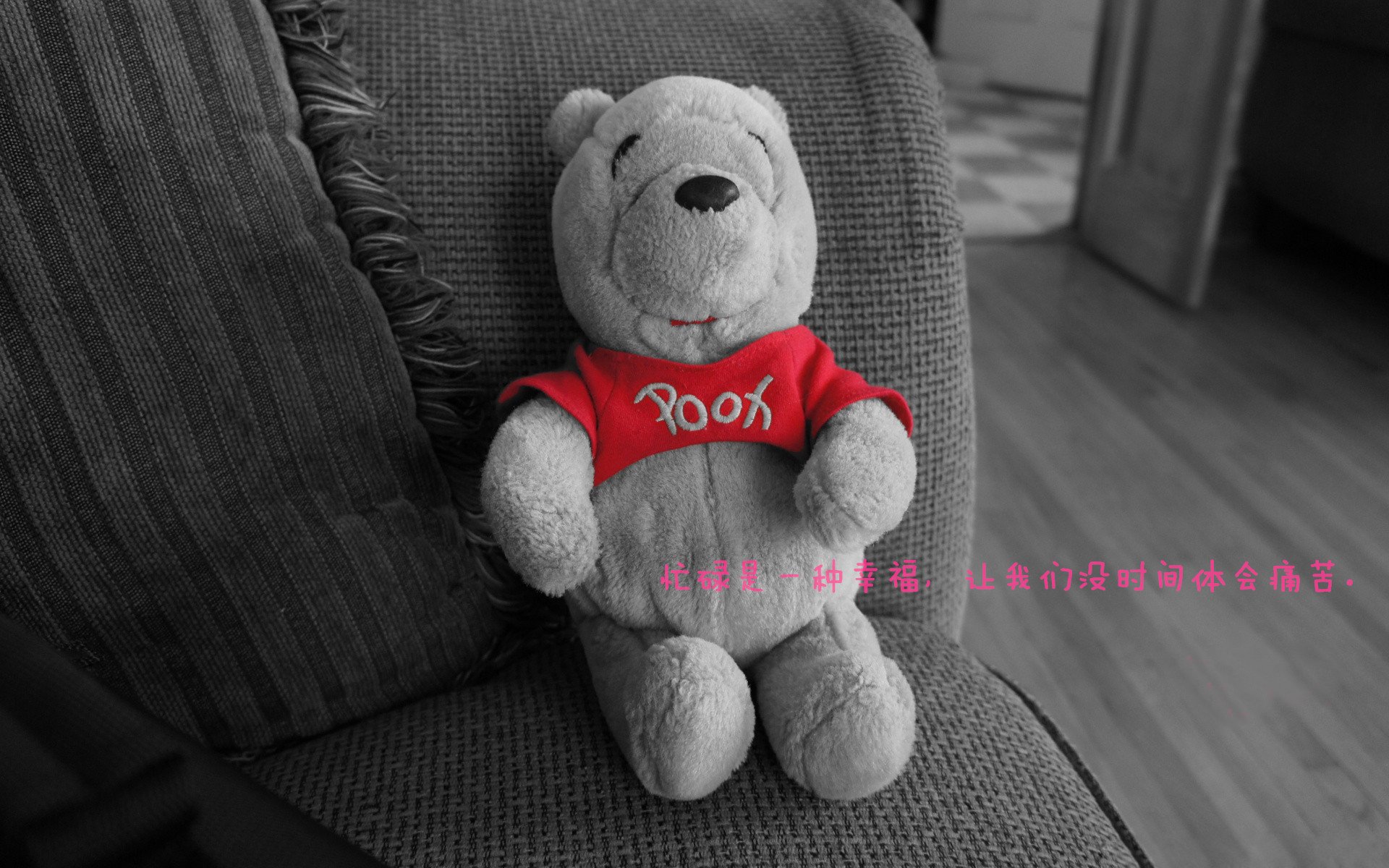 “伊万·戈梅斯的比赛视野与进攻配合,为美洲狮队带来新的一轮进攻高潮”